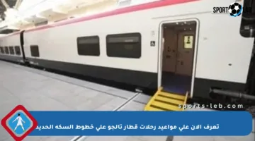 تعرف الآن على مواعيد رحلات قطار تالجو على خطوط السكة الحديد